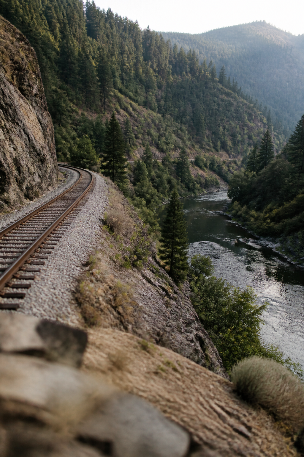 A single railway track running along a ledge above the Upper Sacramento River in a steep tree covered canyon