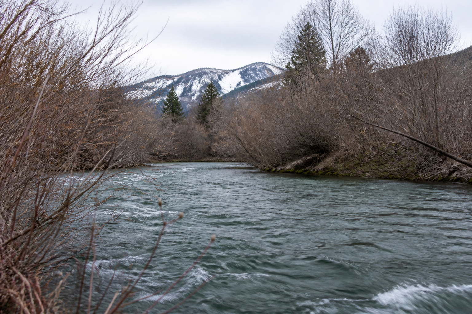 A swollen spring river running high and slightly coloured past bare willows with snow still visible on distant slopes